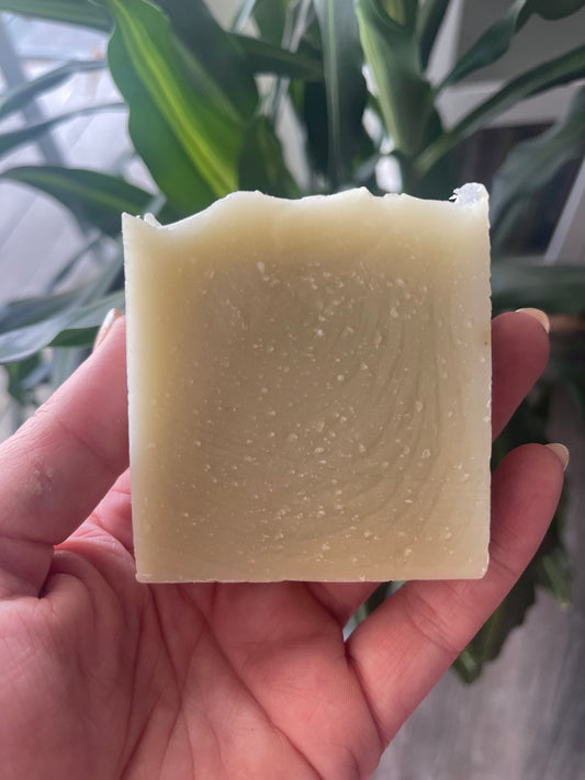 Artisan Natural Handmade Soap: OLIVE